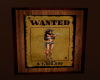 (SR) WANTED SIGN