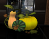 CCP Fall Pumpkins
