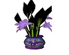 Purple Dragon Lilly