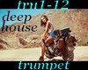 (shan)tru1-12 deephouse
