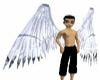 arch angel wings