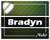 *NK* Bradyn (Sign)