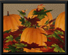 Fall Pumpkins Patch
