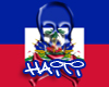 Haiti Flag 2