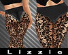 *L* Lace Hose Black