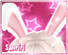 𝓢. Bunny Ears🩷
