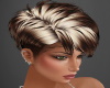 Blonde Short Hairstyle