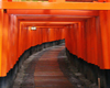 Fushimi Inari Backdrop