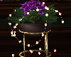 Violet Plant With Lights