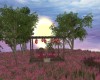 Wildflower Field