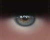 T Blue/Gray Eye Sample