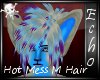 [Echo]Hot Mess M Hair 1