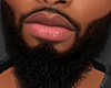 (+_+)AQUARIUS BEARD AV1