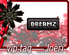 j| Dreamz Alive 4you