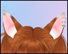 *Y* Cute Fox Ears 03