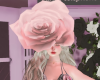rose head pink