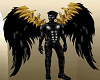 Black n Gold Wings