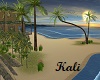 Island Beach House