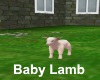 [BD]Baby Lamb