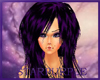 dark purple calla