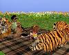 3P Tiger Picnic Chat