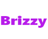 Brizzy Trigger