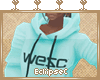 e. Custom WESC