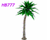 HB777 Holiday Palm V1