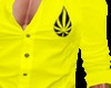 Top Yellow Cannabis