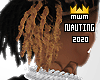 Braided 2 Tone Locs 2020