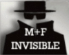 (S)INVISIBLE avatar /F&M