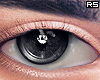 金 Lizard Eyes R
