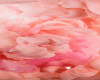Pink smoke