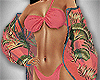 Miami Swim Collection