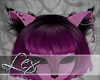 LEX Kitty ears animated