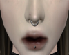 septum