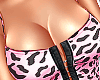 Sofia Set V2