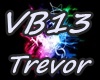 VB13
