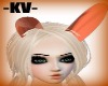 -KV-orange bunny ears