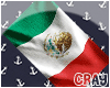 [C]Mexico Flag Towel