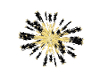 Black and Gold Firework