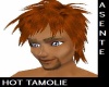 [BAMZ]Hot Tamolie ASENTE