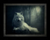 ~M~ Mari's White Wolf 4