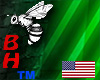 -BH-Green Portal TRI