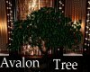 !T Avalon Tree