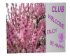 Blossom Club sign