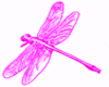 Color changing dragonfly