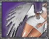 Angel wite wings