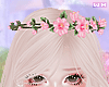 w. Pink Flower Crown