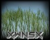 Animated Grass